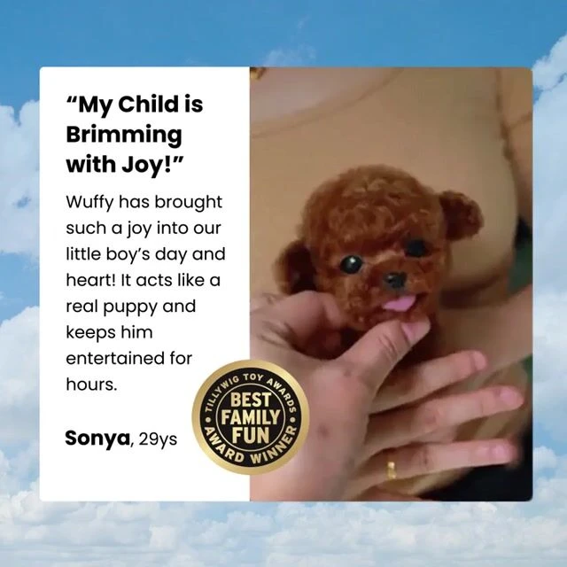 Froplay Dog Toy image